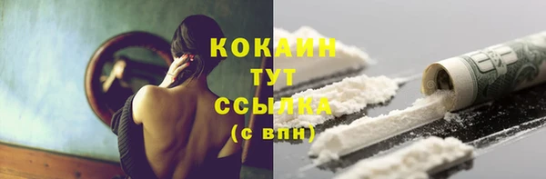 спайс Алексин