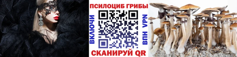 Галлюциногенные грибы ЛСД  Боровичи 
