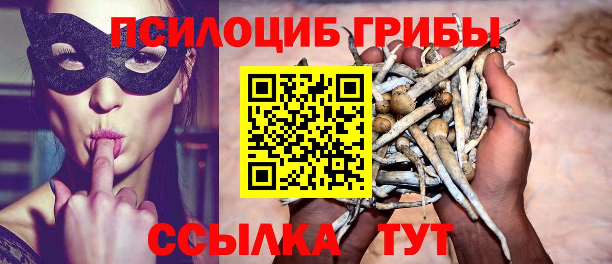 купить   Вход с VPN  Боровичи  Галлюциногенные грибы прущие грибы 